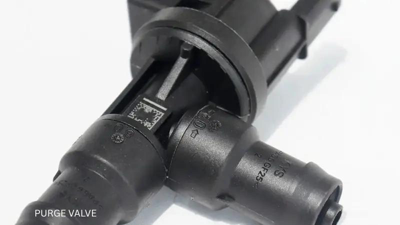 It is image on Purge Valve.